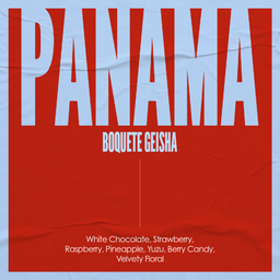 Panama Boquete Geisha