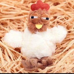 white Chicken