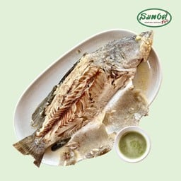 ปลากะพงอบเกลือ