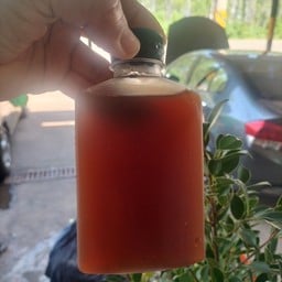 น้ำจับเลี้ยง...(เย็น)