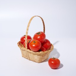 สลัดผัก ออร์แกนิค By ฟาร์มต้นไม้เพื่อชีวิต ตลาดพัฒนา