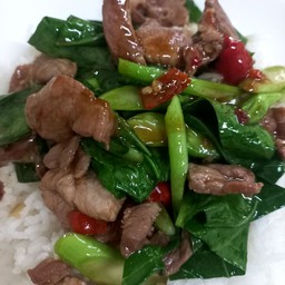 ข้าวคะน้าหมูชิ้น