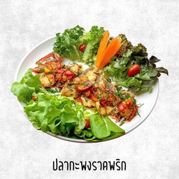 ปลากะพงราดพริก