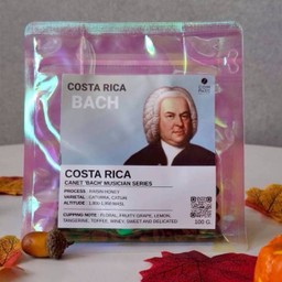 Costa Rica Bach