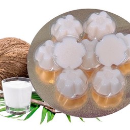 วุ้นกะทิสด  Coconut Milk Jelly