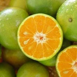 ส้มเขียวหวาน