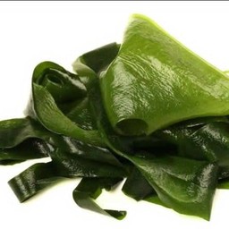 สาหร่ายวากาเมะ