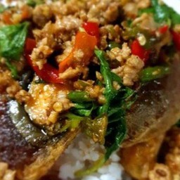 กะเพราหมูสับไข่เยี่ยวม้า