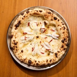 White anchovy