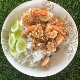 เตีี๋ยวไก่ตุ๋นเจ้รุ่ง/กะเพราสองวิน 👶🏻❤️👶🏻