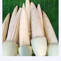 หม่าล่าวอร์มคอ&บาร์บีคิว2 - สาขาสันติธรรม