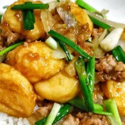 ข้าวหน้าหมูสับ,เต้าหู้ไข่ผัดต้นหอม,หอมใหญ่
