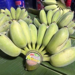 บ้านสวนพอเพียงริมนา