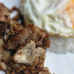 ข้าวหมู / ไก่ กระเทียม+ไข่ดาว