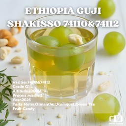 Ethiopia Guji Shakisso Americano