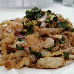 ลายแมงกะพรุน