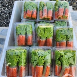 ร้านไร่ริมสวน (สลัดโรล)