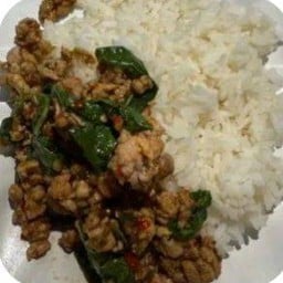 ข้าวกะเพราหมูสับ