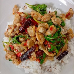 ผัดกระเพราหอยลายราดข้าว