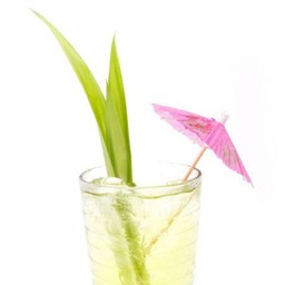 น้ำใบเตย