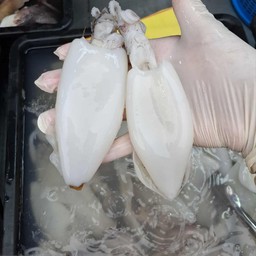 หมึกกล้วยลอก 1/ 2