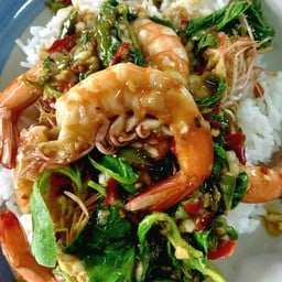 กะเพรากุ้ง