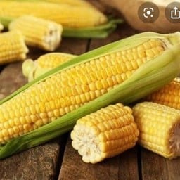 ข้าวโพด