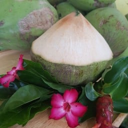 CocoFarm โคโค่ฟาร์ม-งาวงศ์วาน23 มะพร้าวน้ำหอมดำเนิดสะดวก