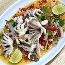 ยำหมึกสาย