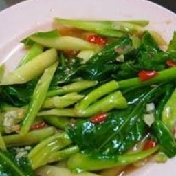 ผัดคะน้าเนื้อน้ำมันหอย