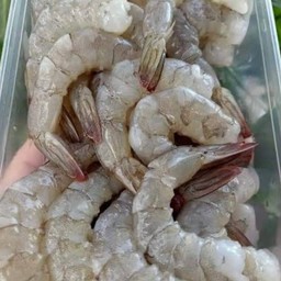 กุ้ง(5ตัวไซต์230)