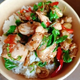 กะเพราลุงโจร กะเพราลุงโจร