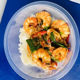 [เซตสุดฮิต] ข้าวกระเพรากุ้ง + ชาเขียว พร้อมน้ำแข็ง