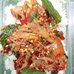 กะเพราขาหมู