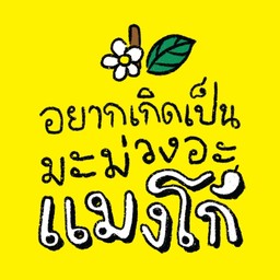 อยากเกิดเป็นมะม่วงอะ แมงโก้ สาขาแบริ่ง