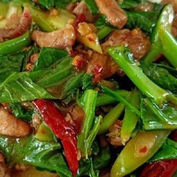 ข้าวหน้าผัดกระเพราคะน้าหมูชิ้น