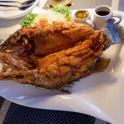 ปลากระพงทอดน้ำปลา