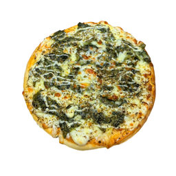 ผักโขม ไซส์ M ( ขนาด 7 นิ้ว )