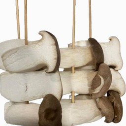 ร้านอร่อย เช็คอิน หมู่บ้านพาทิโอ้ ลาดกระบัง มอเตอร์เวย์