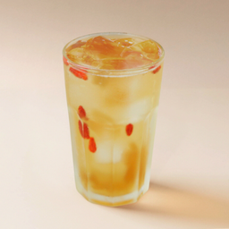 ชาเก๊กฮวยโกจิเบอร์รี่ สปาร์คกลิ้ง & เก๊กฮวย คอมบูชะ เจลโล่