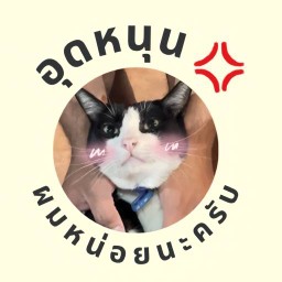 ร้านอุดหนุนผมหน่อยนะครับ[New]