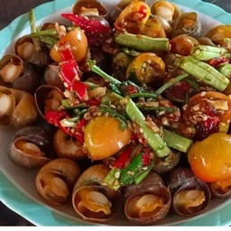 เหลาหอยสีทอง