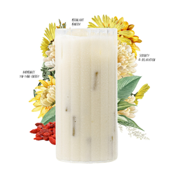 ชานมเก๊กฮวย (Oat Milk)