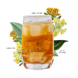 ชากุ้ยฮวา สปาร์คกลิ้ง