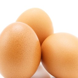 เจ้าไข่ต้ม