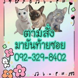 มายันท้ายซอย