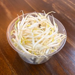 ถั่วงอก