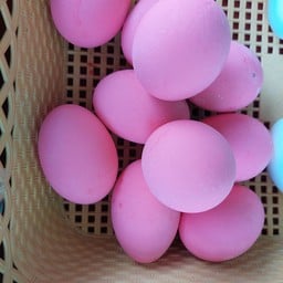 ไข่เยี่ยวม้า