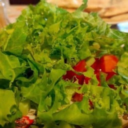 สลัดผัก Green salad