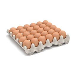 ไข่ไก่เบอร์ 1